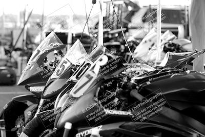 media/Mar-24-2023-Apex Assassins (Fri) [[54485cb5ff]]/Around the Pits/